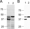FIG. 5.