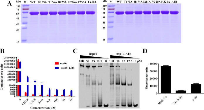 FIG 6