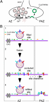 Fig. P1.