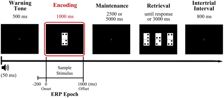 FIGURE 1