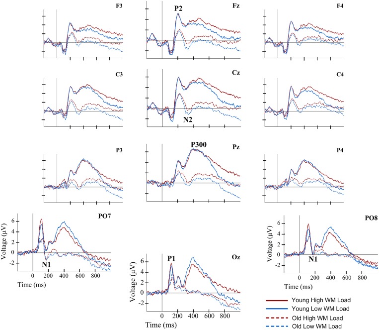 FIGURE 2