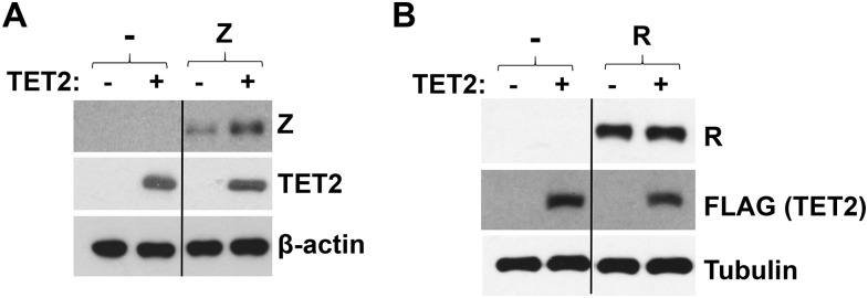 Fig. S3.