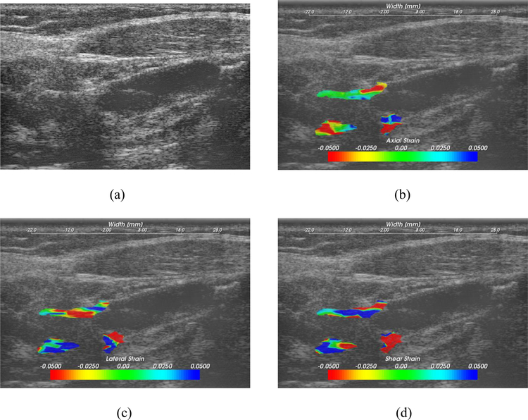 Figure 1: