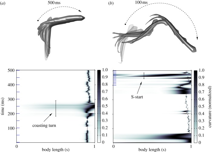 Figure 11.