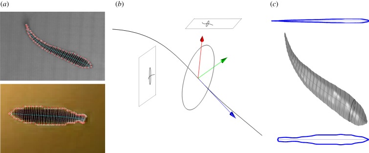 Figure 3.