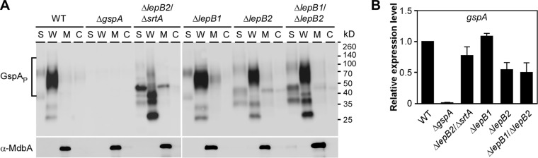 FIG 3