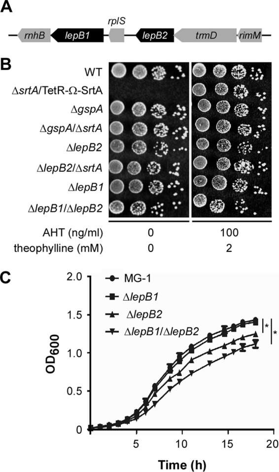 FIG 1