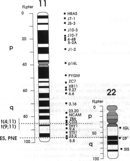 graphic file with name pnas01053-0218-a.jpg