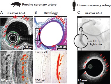 Figure 3: