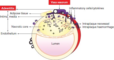 Figure 1: