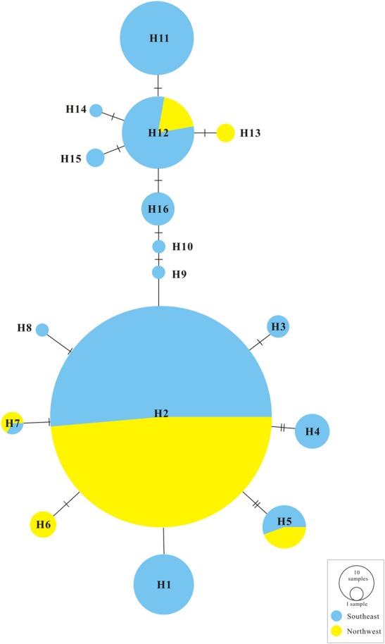 FIGURE 2