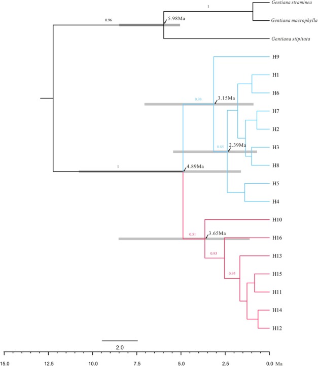 FIGURE 3