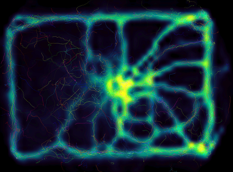 Appendix 1—figure 1.