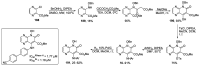Scheme 38