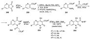 Scheme 51