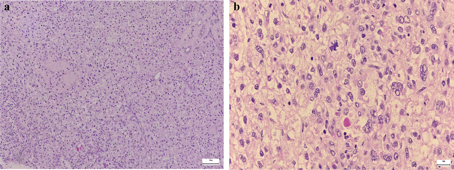 Fig. 5