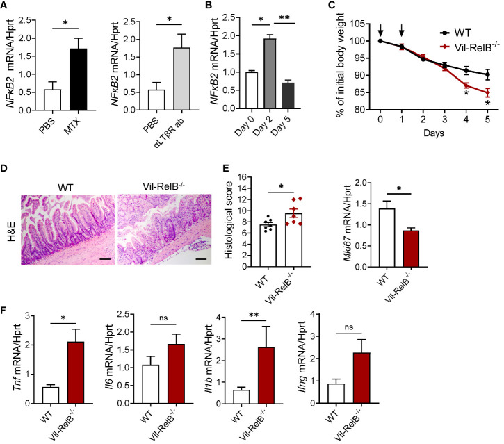 Figure 6