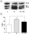 Fig. 12