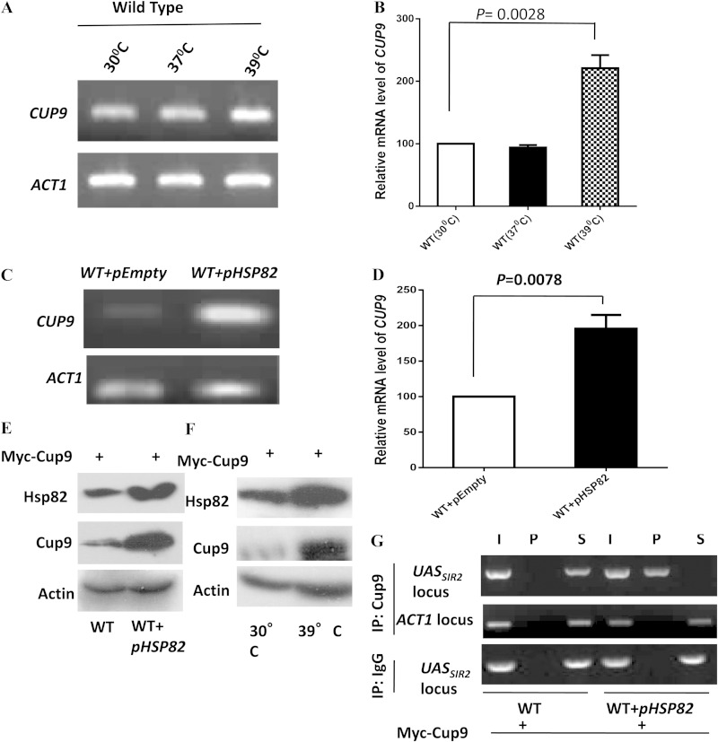 FIG 6