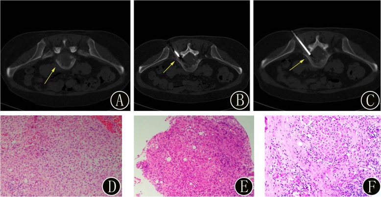 Fig. 8