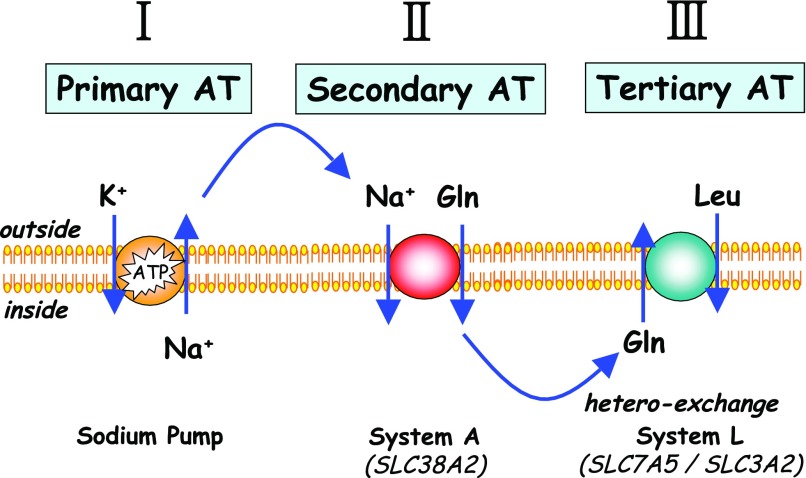 Fig. 2.