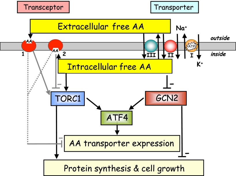 Fig. 3.