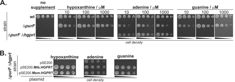 FIG 3