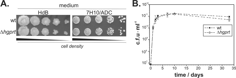 FIG 2