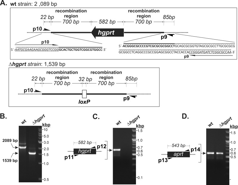 FIG 1