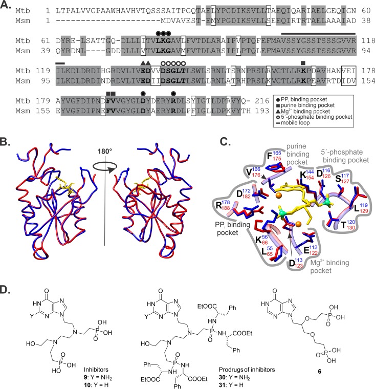 FIG 4