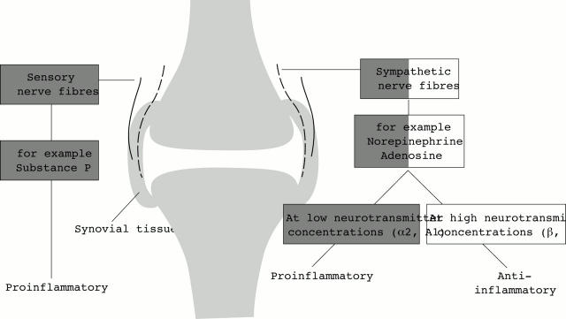 Figure 3  