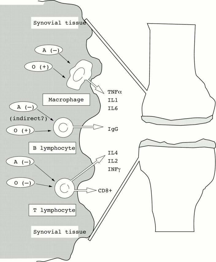 Figure 1  