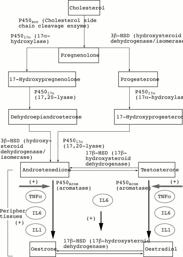 Figure 2  