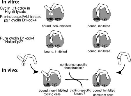 FIG. 8.