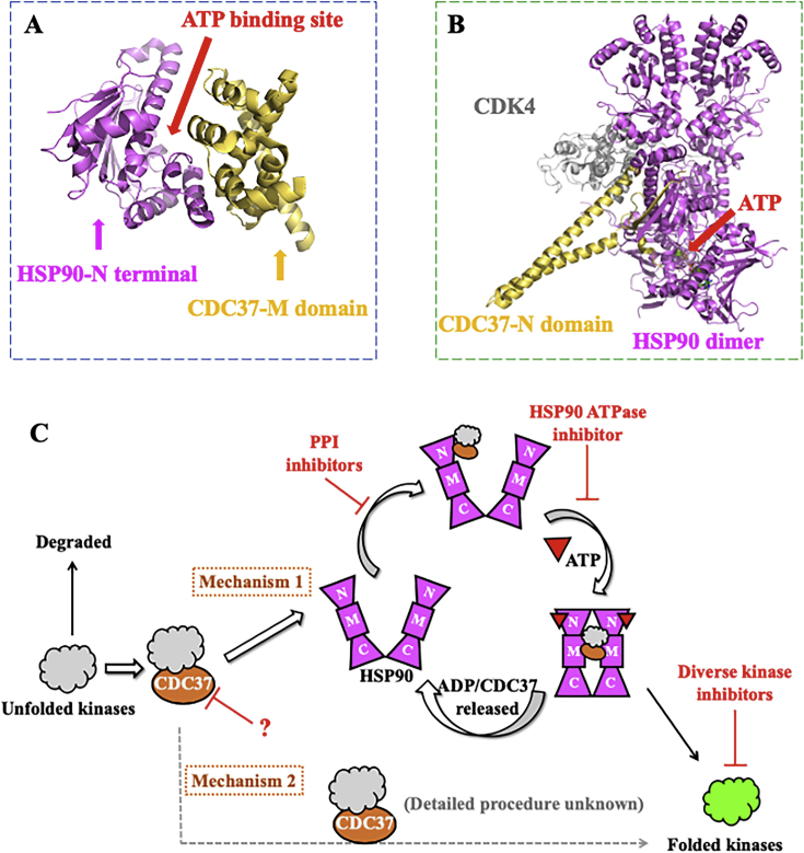 Figure 6