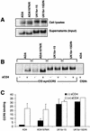 FIG. 8.