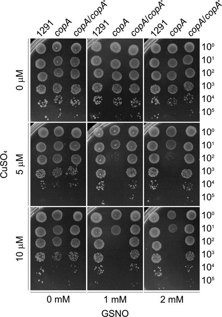 Fig 5