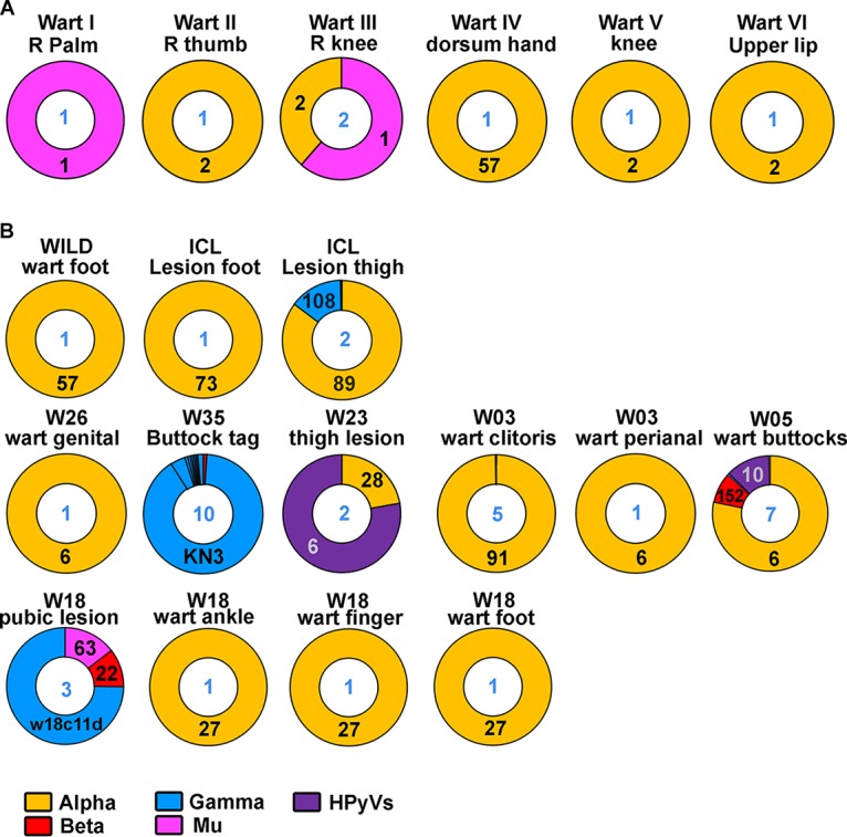 FIG 2