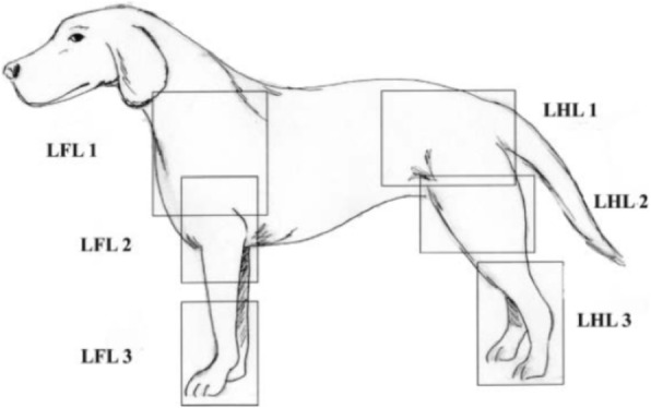 Fig. 2