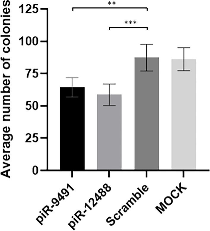 Figure 6