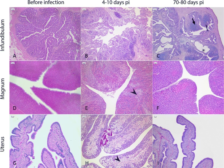 Figure 5