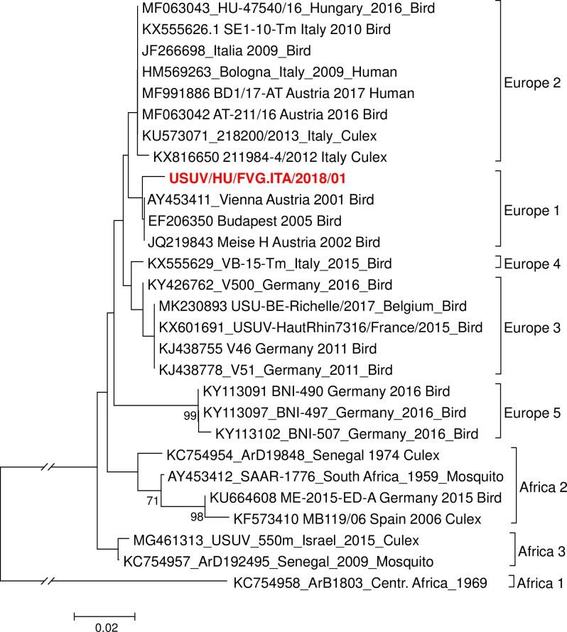 Fig 1