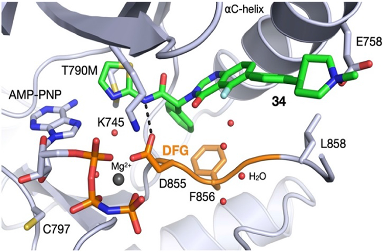 Fig. 2 –