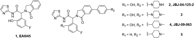 Fig. 1 –