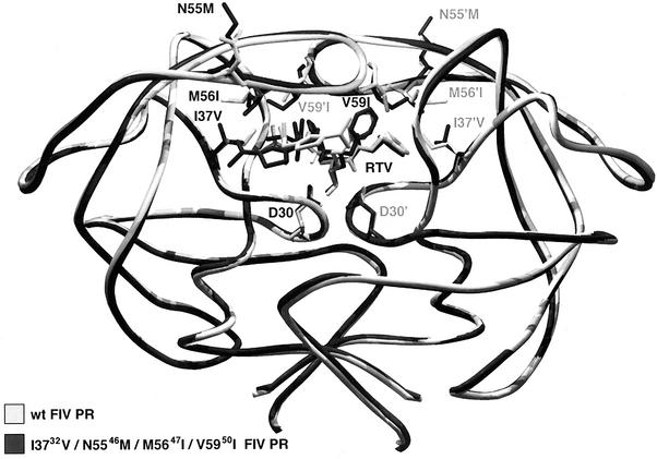 FIG. 4.