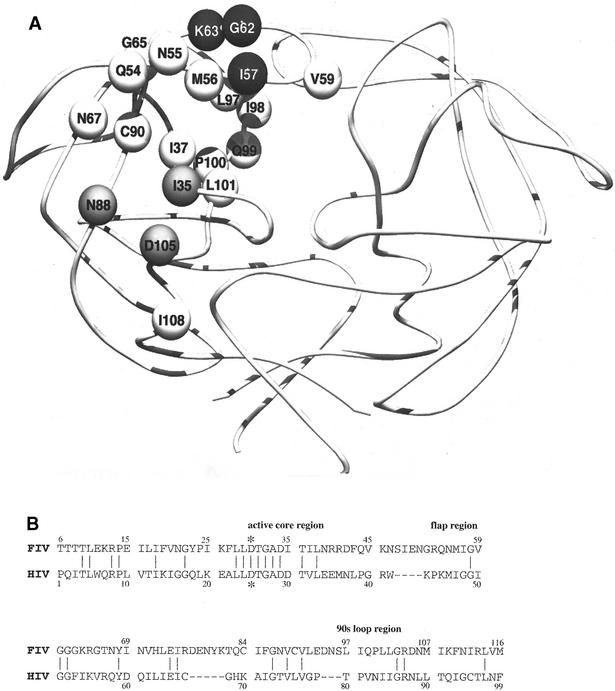 FIG. 1.