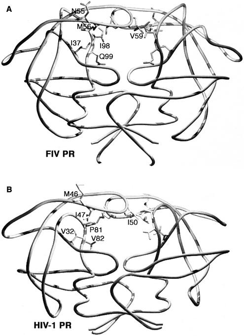 FIG. 2.