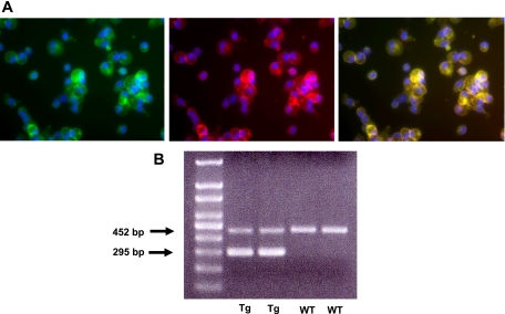 Fig. 5.