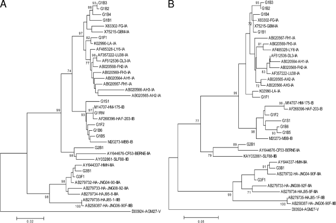 FIG. 1.