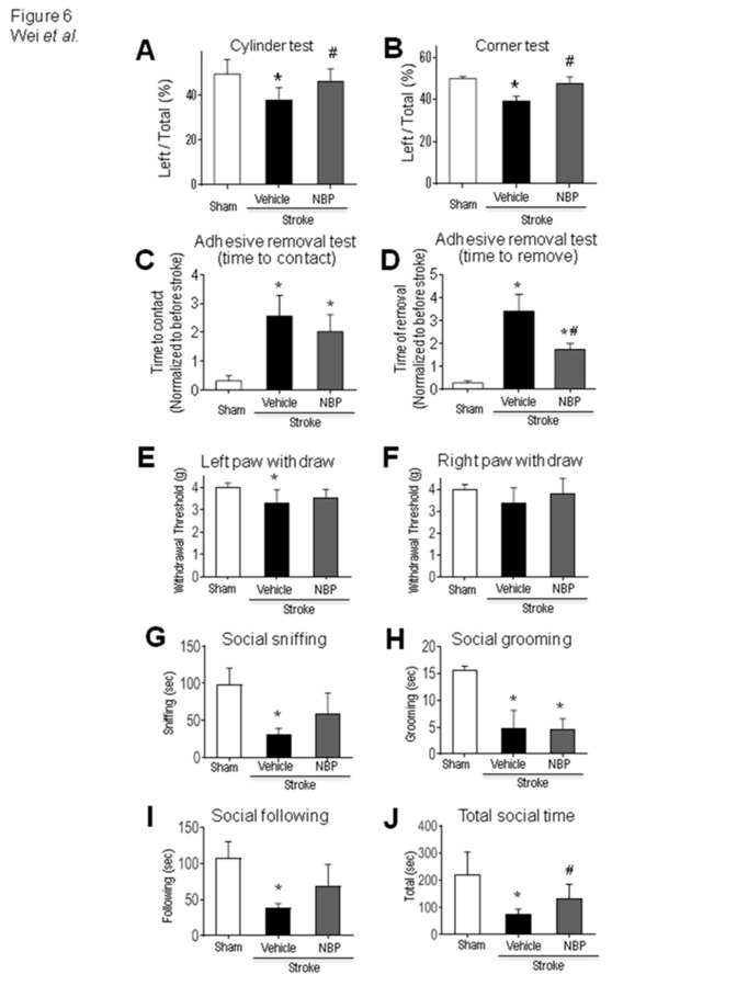 Figure 6.